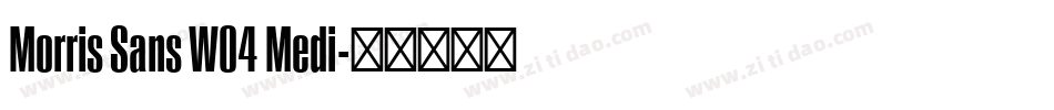 Morris Sans W04 Medi字体转换